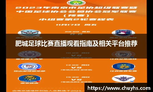 肥城足球比赛直播观看指南及相关平台推荐