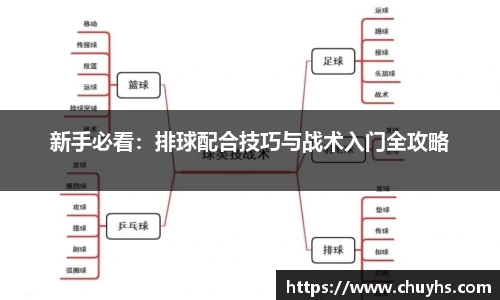 新手必看：排球配合技巧与战术入门全攻略